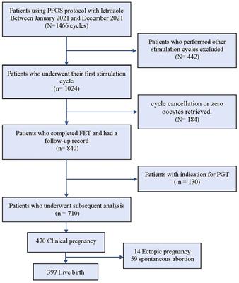 Progestin-primed ovarian stimulation with letrozole using different doses of <mark class="highlighted">medroxyprogesterone</mark> acetate per day: a retrospective cohort study
